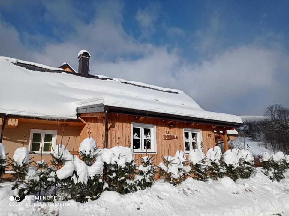 Apartment U Bobra Rokytnice nad Jizerou
