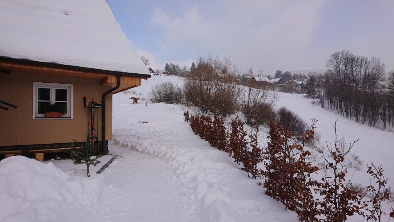 U Bobra Apartment Rokytnice nad Jizerou